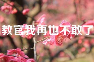 教官我再也不敢了