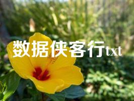 数据侠客行txt