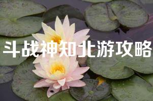 斗战神知北游攻略