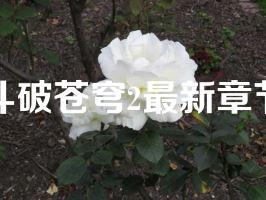 斗破苍穹2最新章节