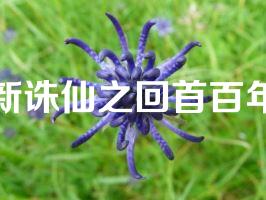 新诛仙之回首百年