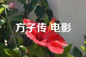 方子传 电影