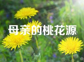 母亲的桃花源
