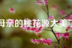 母亲的桃花源太美了