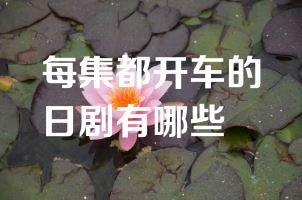每集都开车的日剧有哪些