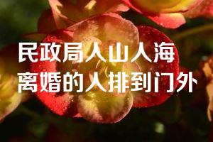 民政局人山人海 离婚的人排到门外