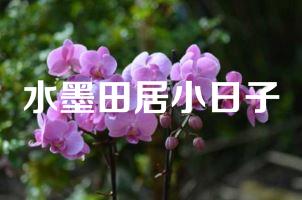 水墨田居小日子