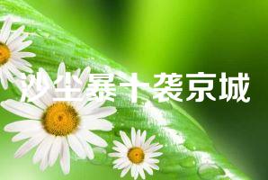 沙尘暴十袭京城