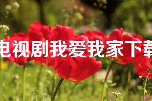 电视剧我爱我家下载