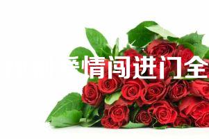 电视剧爱情闯进门全集