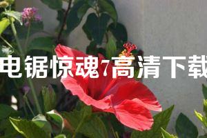 电锯惊魂7高清下载