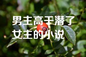 男主高干潜了女主的小说