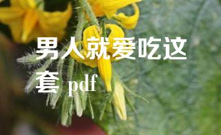 男人就爱吃这套 pdf