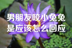 男朋友咬小兔兔是应该怎么回应
