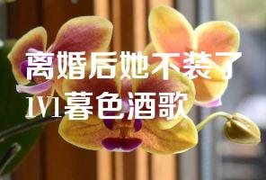 离婚后她不装了1V1暮色酒歌