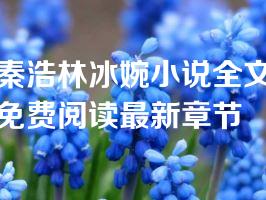 秦浩林冰婉小说全文免费阅读最新章节