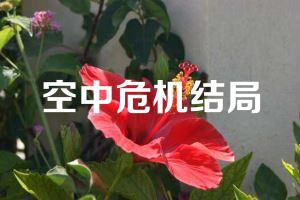空中危机结局