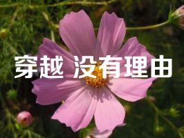 穿越 没有理由