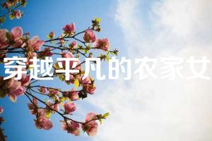 穿越平凡的农家女