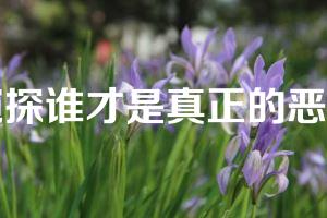 窥探谁才是真正的恶魔