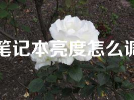笔记本亮度怎么调