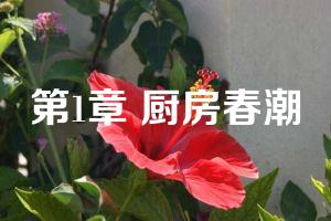 第1章 厨房春潮