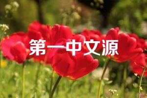 第一中文源
