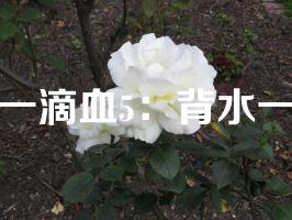 第一滴血5：背水一战