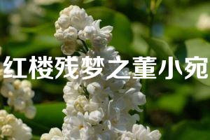 红楼残梦之董小宛