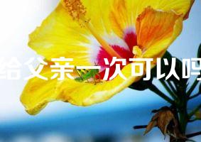给父亲一次可以吗