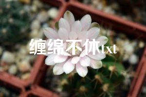 缠绵不休txt
