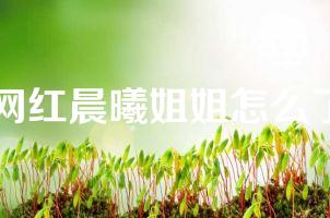 网红晨曦姐姐怎么了