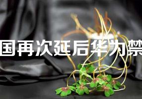 美国再次延后华为禁令