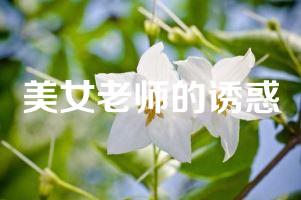 美女老师的诱惑