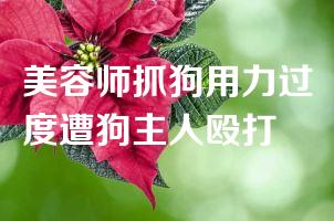美容师抓狗用力过度遭狗主人殴打