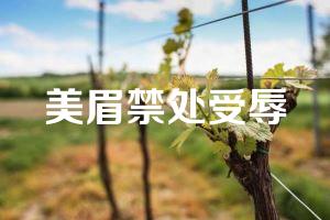 美眉禁处受辱