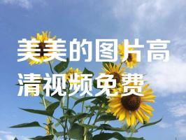 美美的图片高清视频免费