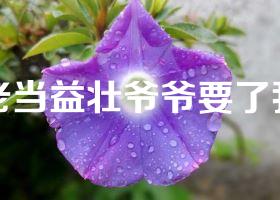 老当益壮爷爷要了我