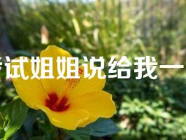 考试姐姐说给我一次