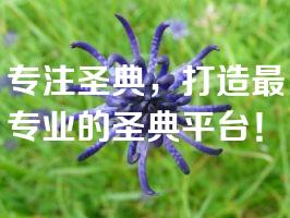 专注圣典，打造最专业的圣典平台！