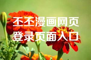 丕丕漫画网页登录页面入口