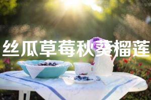 丝瓜草莓秋葵榴莲