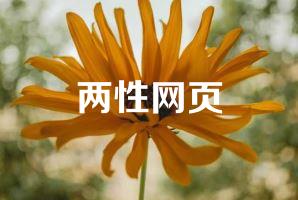 两性网页