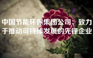 中国节能环保集团公司：致力于推动可持续发展的先锋企业