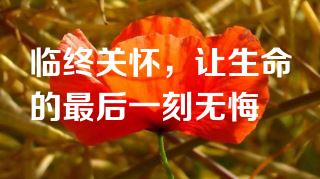 临终关怀，让生命的最后一刻无悔