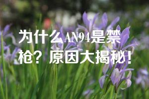 为什么AN94是禁枪？原因大揭秘！