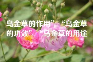 乌金草的作用”“乌金草的功效”“乌金草的用途