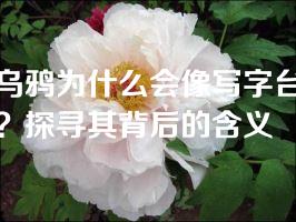 乌鸦为什么会像写字台？探寻其背后的含义