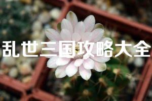 乱世三国攻略大全
