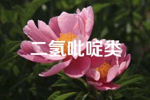 二氢吡啶类